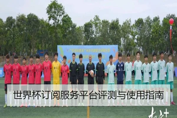 世界杯订阅服务平台评测与使用指南