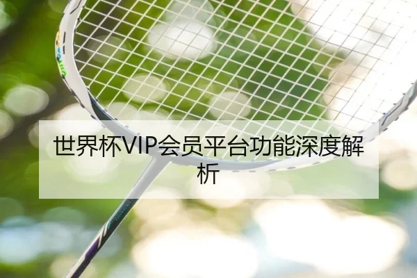 世界杯VIP会员平台功能深度解析