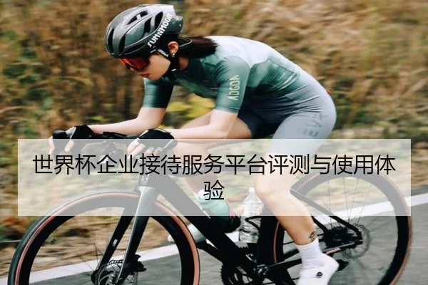 世界杯企业接待服务平台评测与使用体验