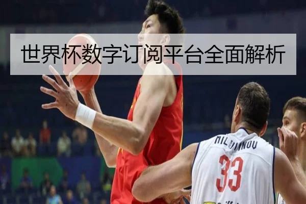 世界杯数字订阅平台全面解析