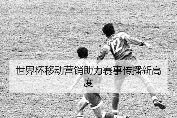 世界杯移动营销助力赛事传播新高度