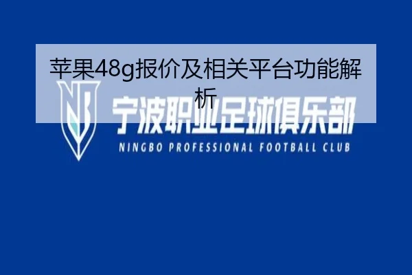 苹果48g报价及相关平台功能解析