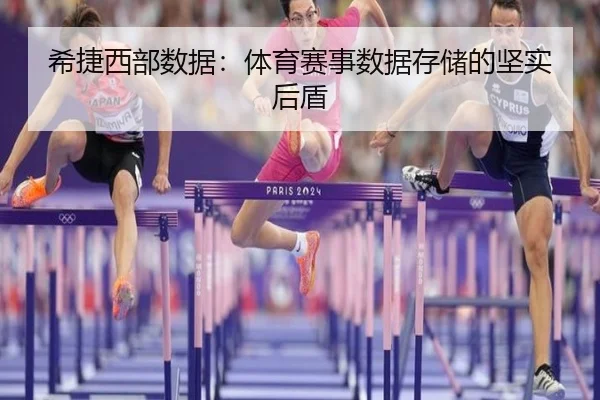 希捷西部数据：体育赛事数据存储的坚实后盾