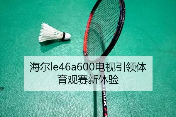 海尔le46a600电视引领体育观赛新体验