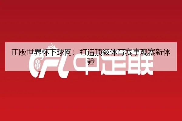正版世界杯下球网：打造顶级体育赛事观赛新体验