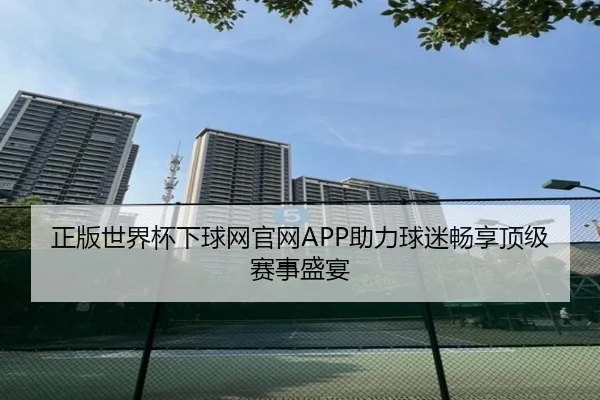 正版世界杯下球网官网APP助力球迷畅享顶级赛事盛宴